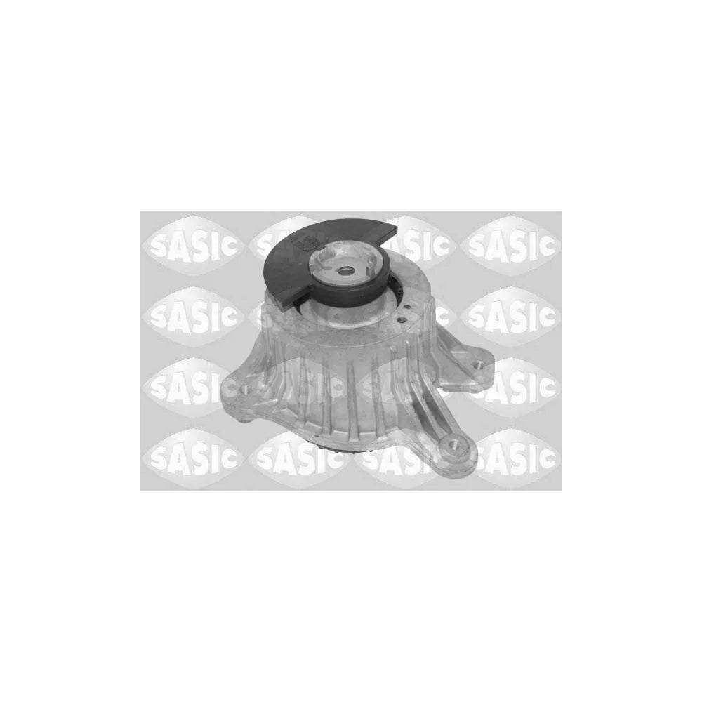 Set Motor Sasic - 2706650