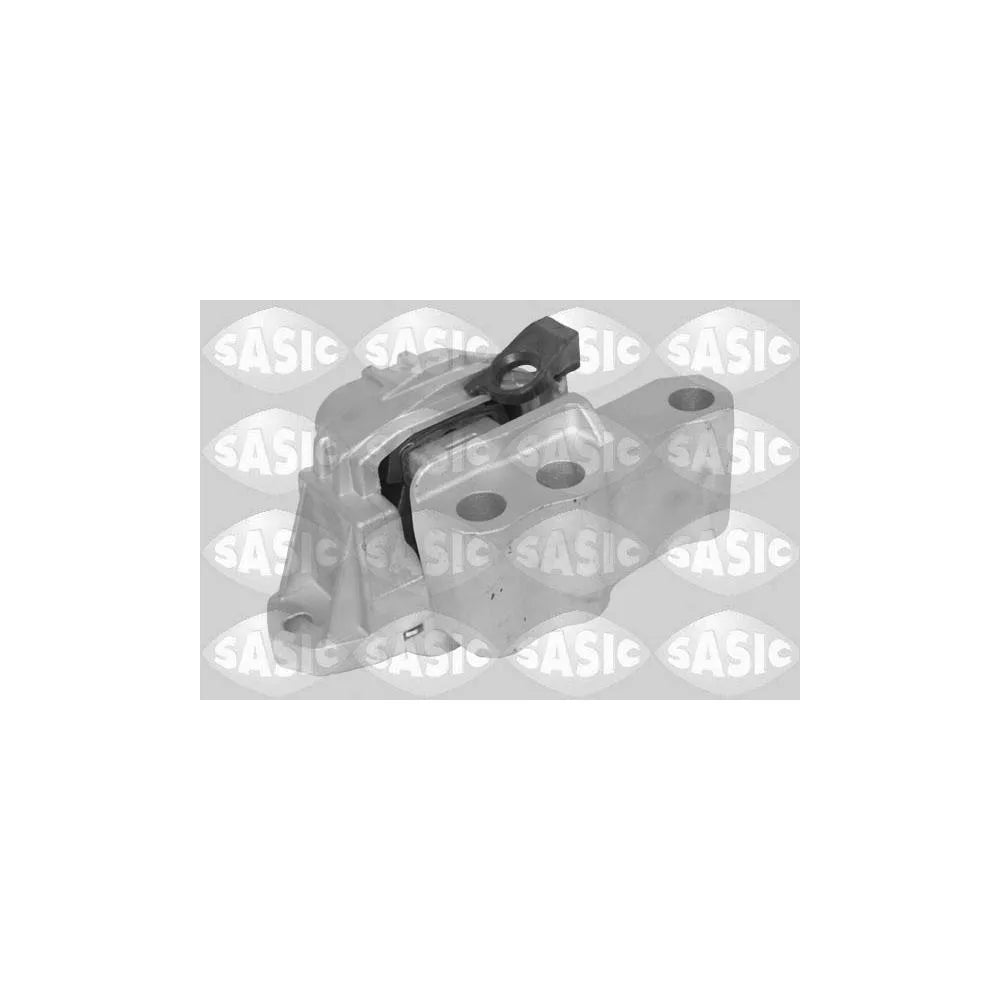 Set Motor Sasic - 2706708