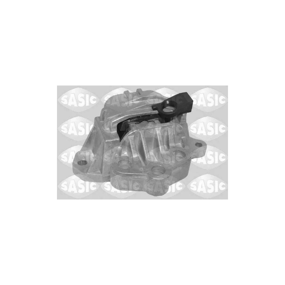 Set Motor Sasic - 2706794