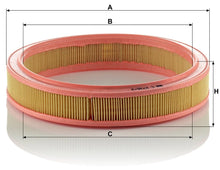 Filtru Aer Mann-Filter pentru Ford Escort/Escort Express/Fiesta/Orion - C 2736/2