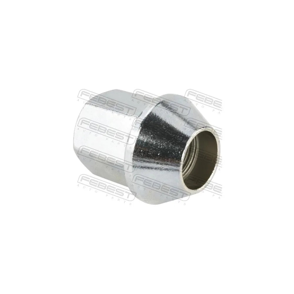Piulite Febest - 2985-002