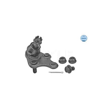 Articulatie Sarcina/Ghidare Meyle - 30-16 010 0077