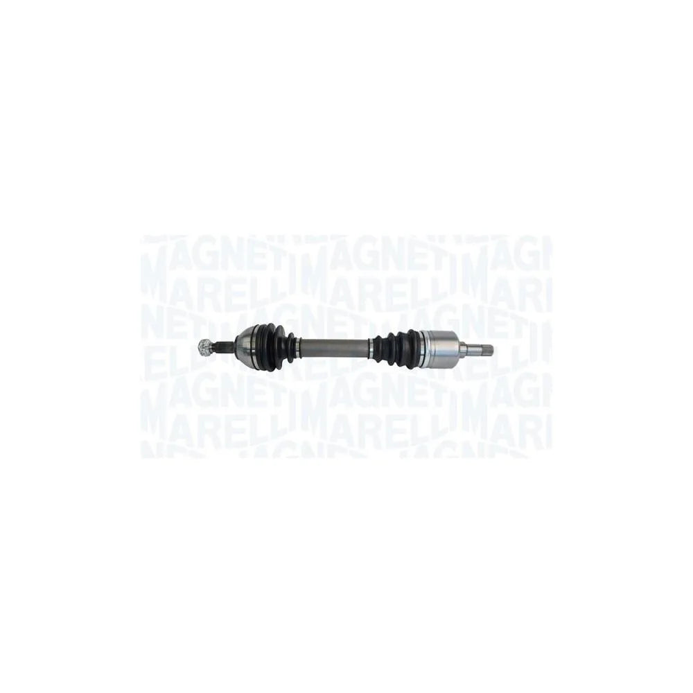 Planetare Magneti Marelli - 302004190045