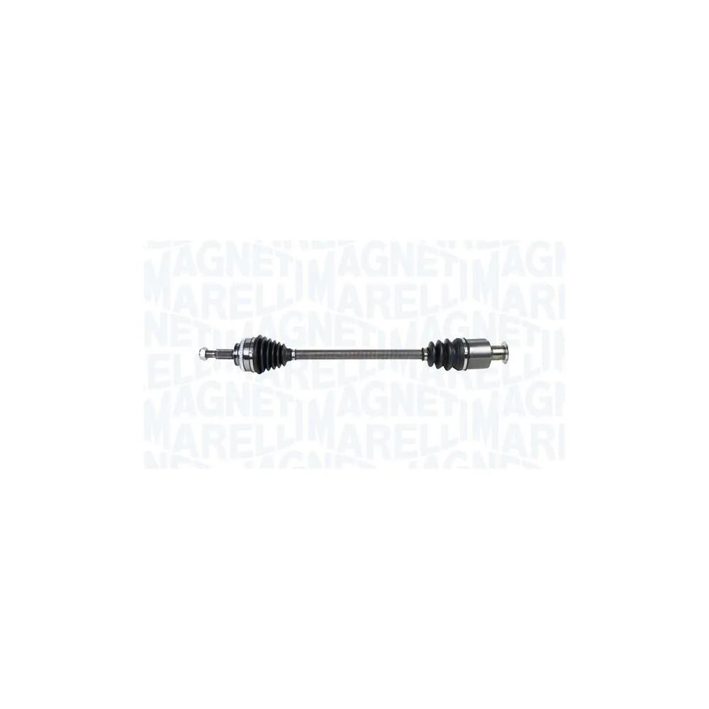 Planetare Magneti Marelli - 302004190098