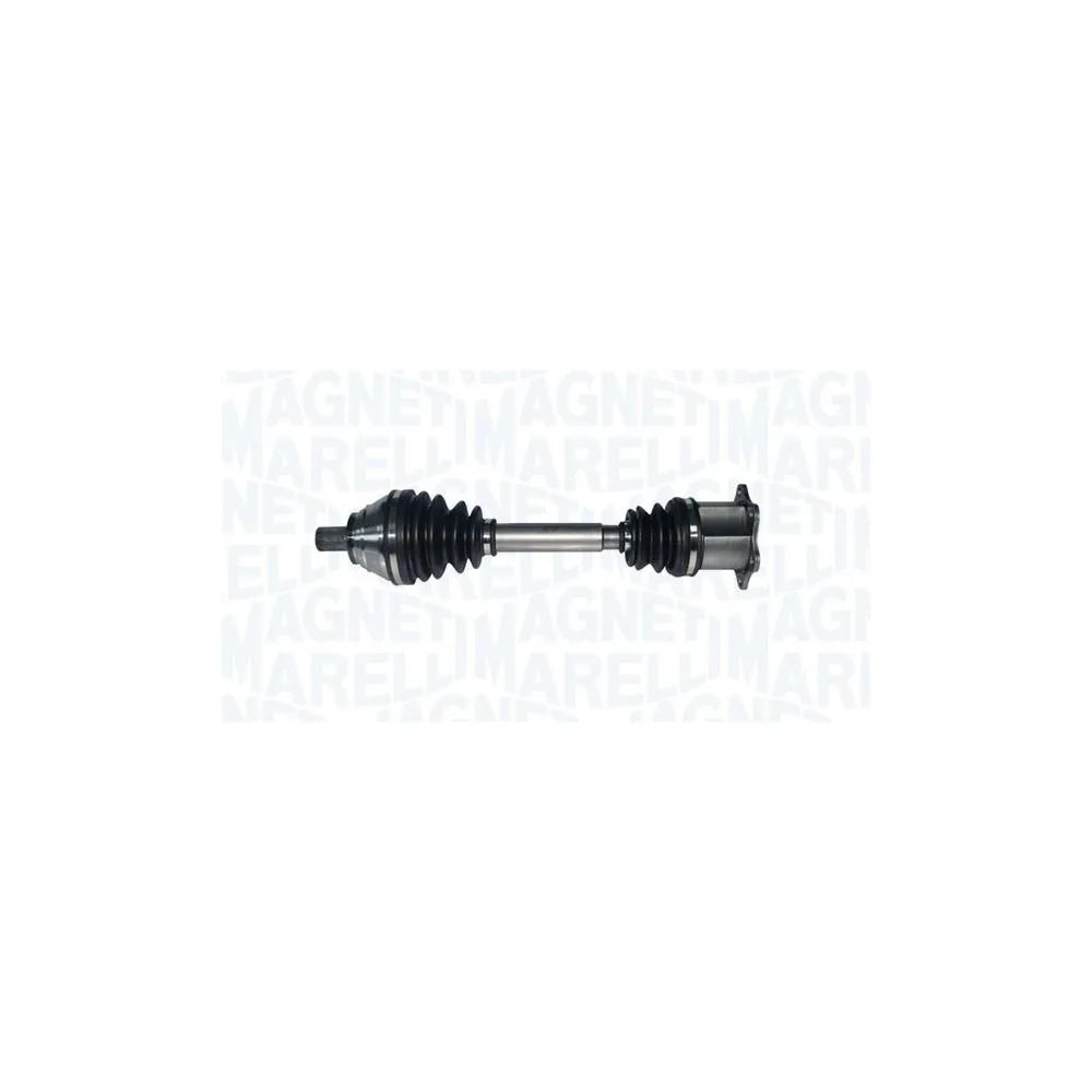 Planetare Magneti Marelli - 302004190101