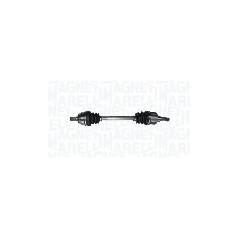 Planetare Magneti Marelli - 302004190169