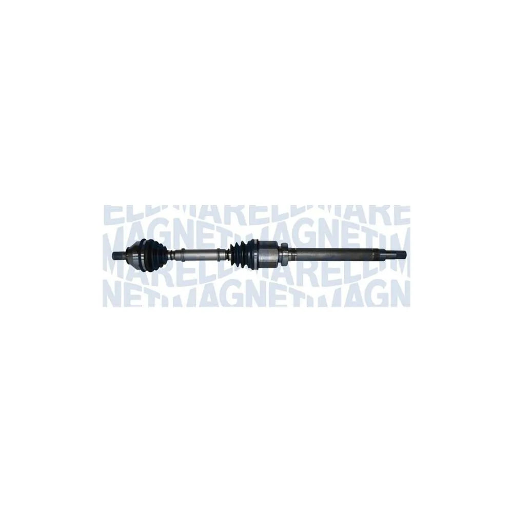 Planetare Magneti Marelli - 302004190180