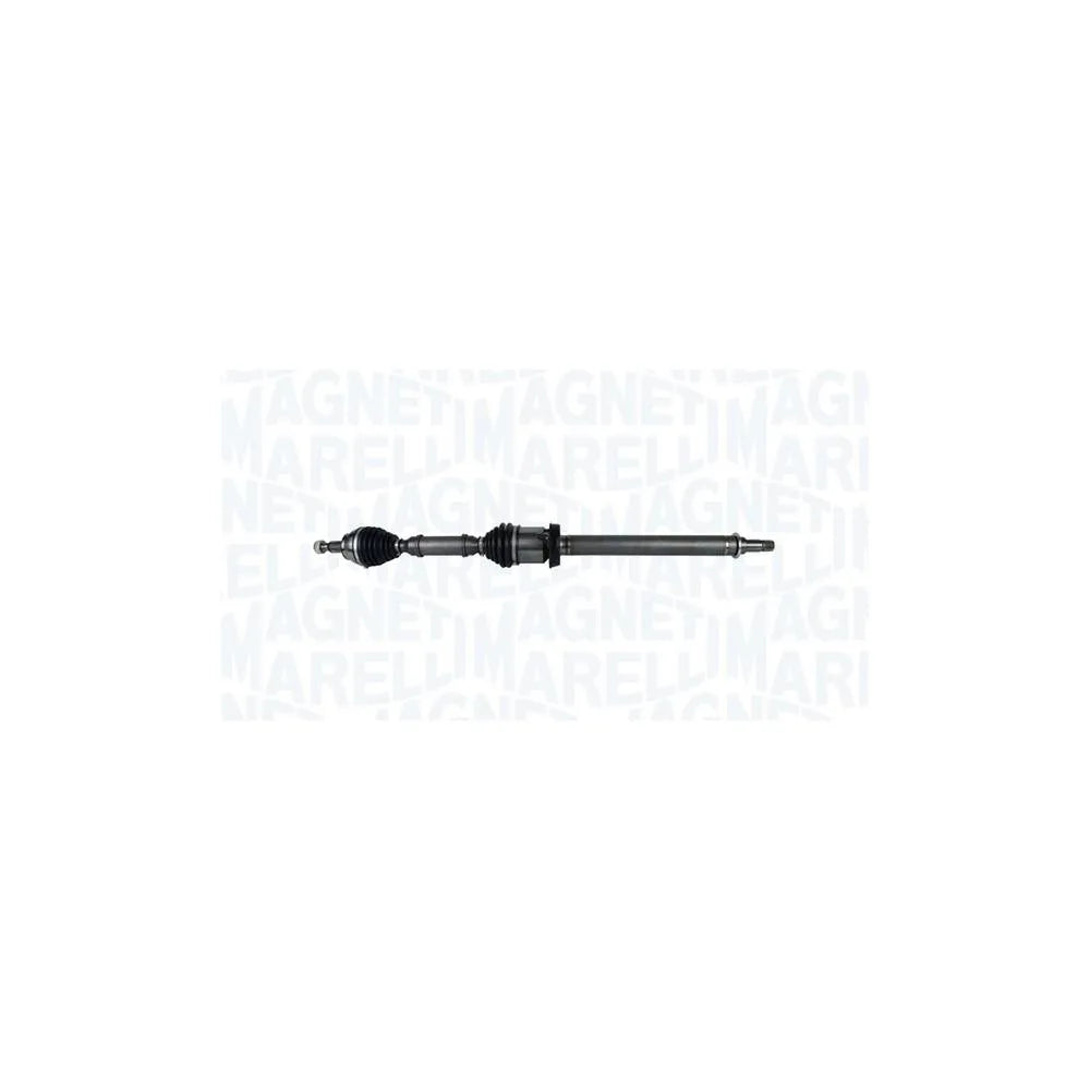 Planetare Magneti Marelli - 302004190204