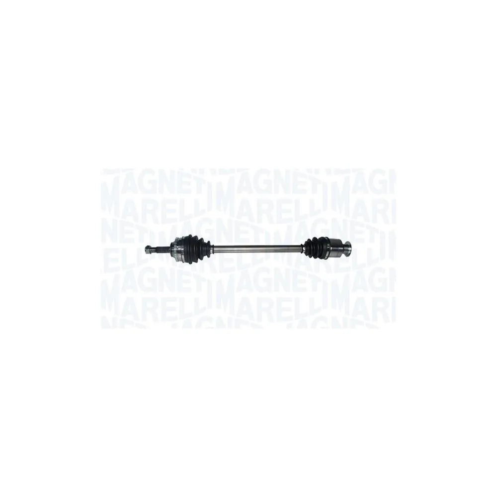 Planetare Magneti Marelli - 302004190232