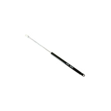 Amortizoare Asam Automotive pentru Dacia 1300/1310/1410 - 30320