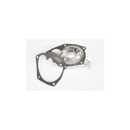Pompa Apa Asam Automotive 2100 g - 30956