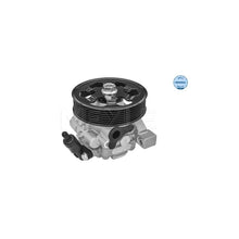 Pompa Hidraulica, Sistem De Directie Meyle - 31-146310002