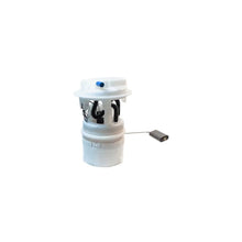 Alte Pompe Magneti Marelli pentru Peugeot 206 - 313011313068