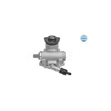 Pompa Hidraulica, Sistem De Directie Meyle - 3146310023