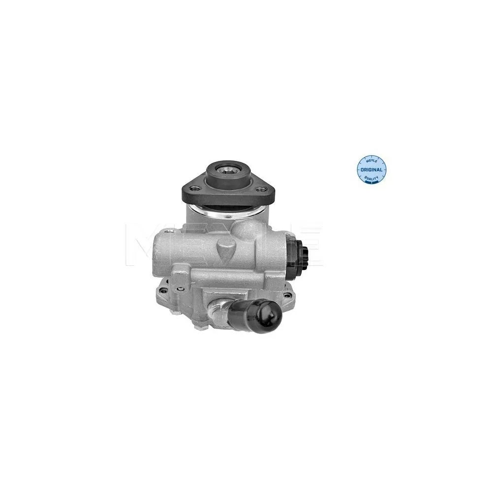 Pompa Hidraulica, Sistem De Directie Meyle - 3146310026