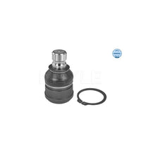 Articulatie Sarcina/Ghidare Meyle - 32-16 010 0025