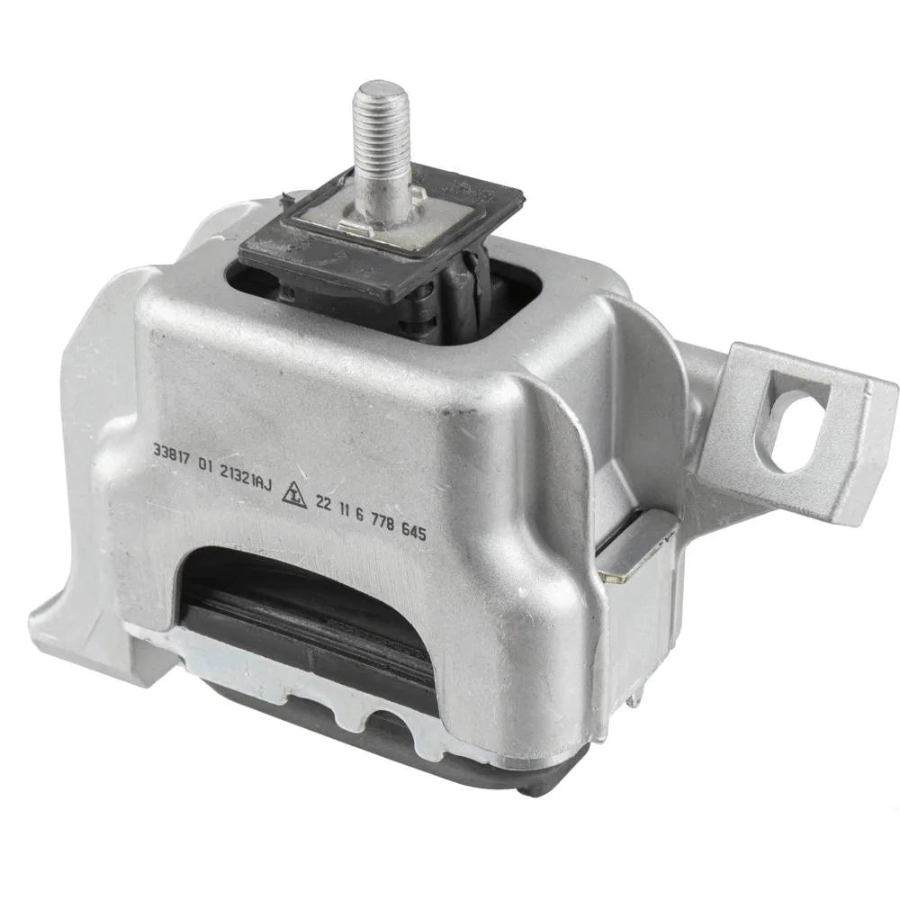 Set Motor Lemforder - 33817 01