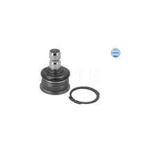 Articulatie Sarcina/Ghidare Meyle - 34-16 010 0004
