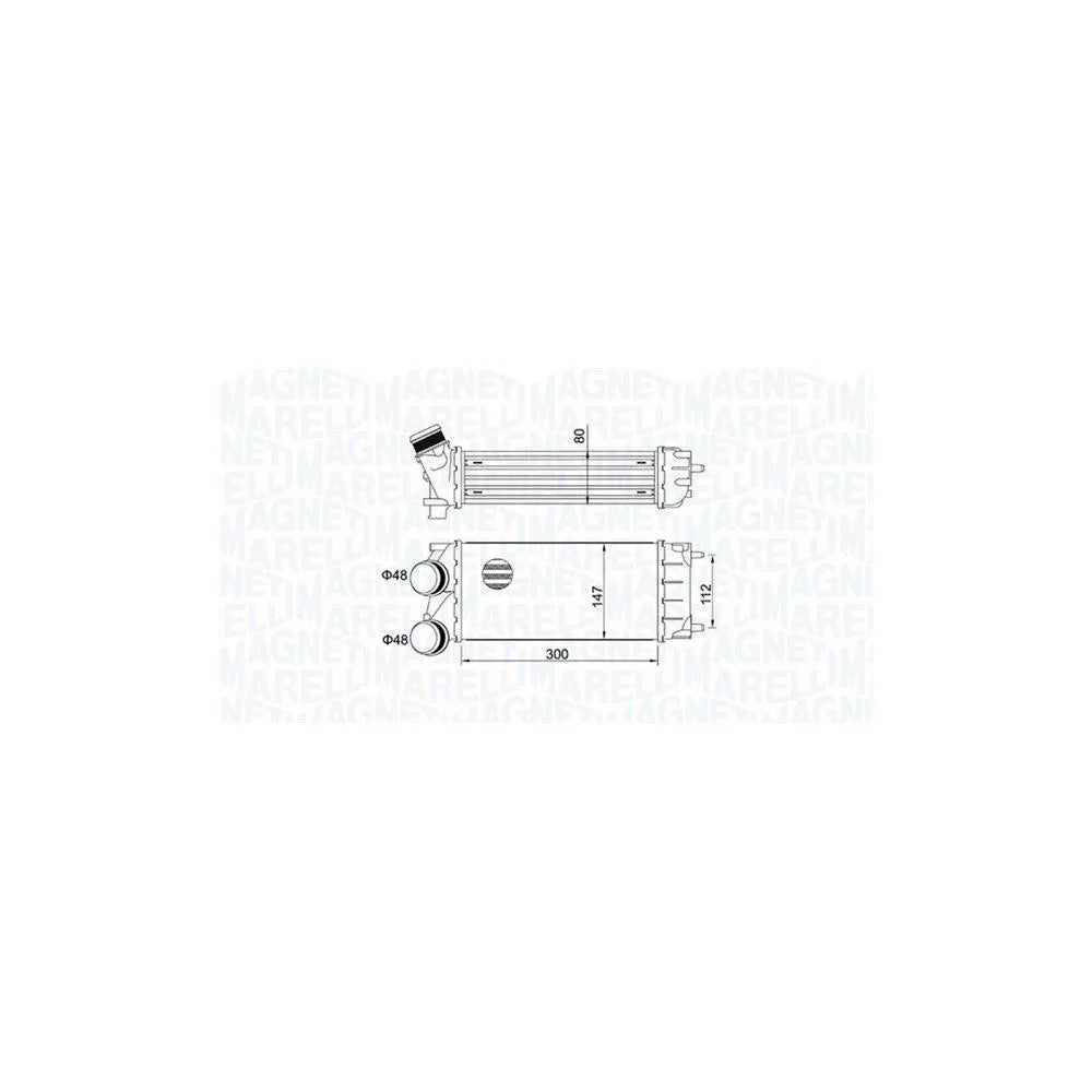 Intercooler Magneti Marelli - 351319204920