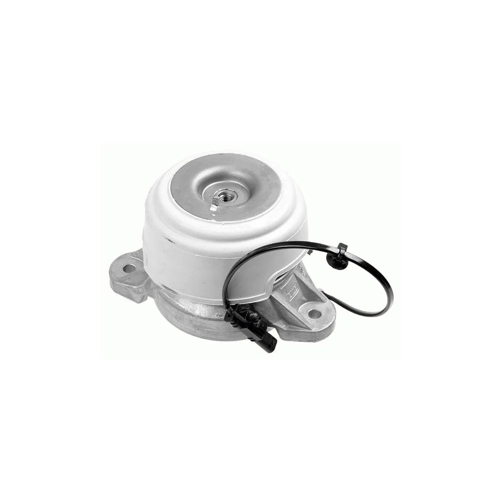 Set Motor Lemforder - 35311 01