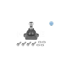 Articulatie Sarcina/Ghidare Meyle - 36-16 010 0001
