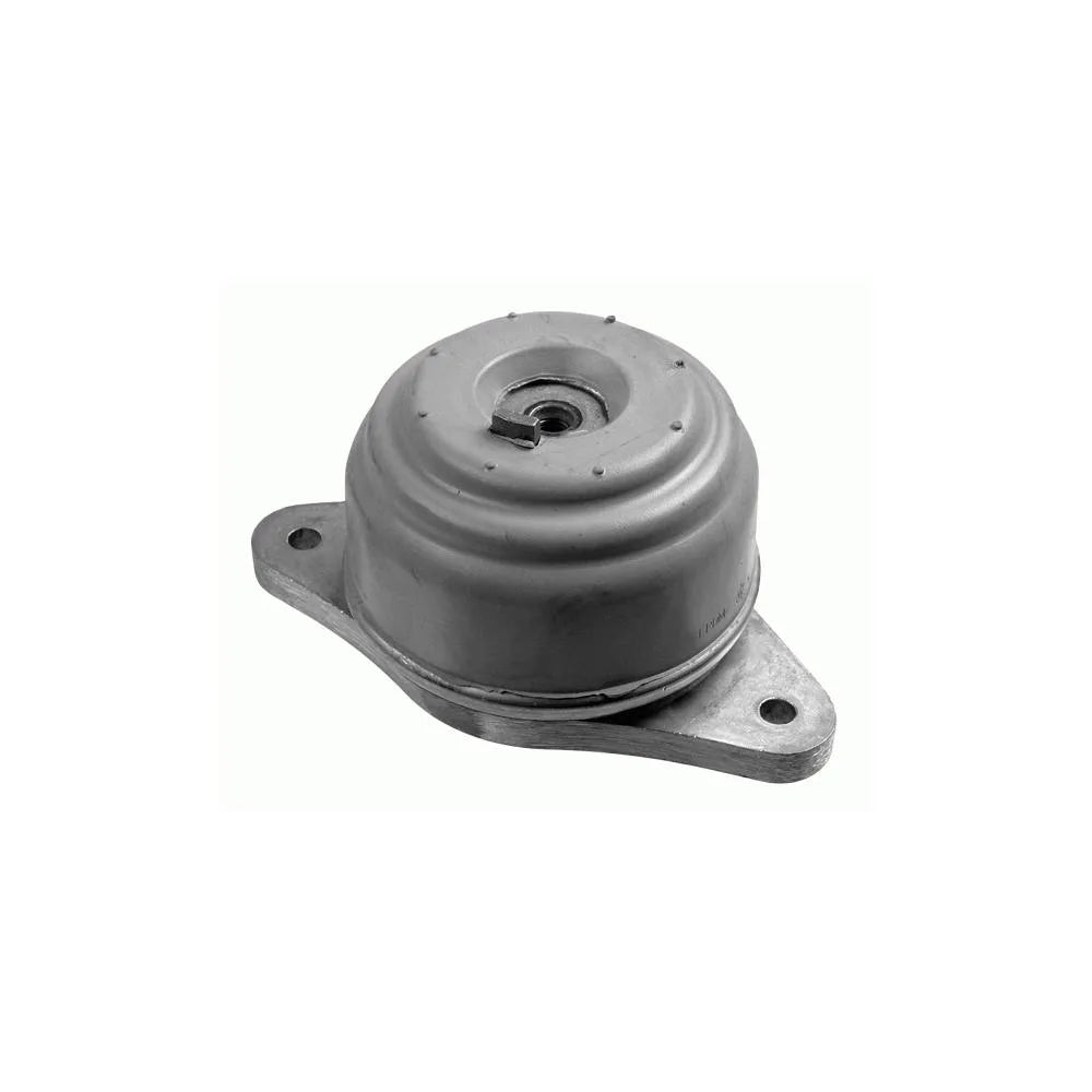 Set Motor Lemforder - 36376 01