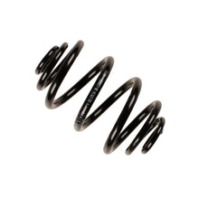 Punte Spate Bilstein - 38-129292