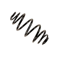 Punte Spate Bilstein - 38-130243