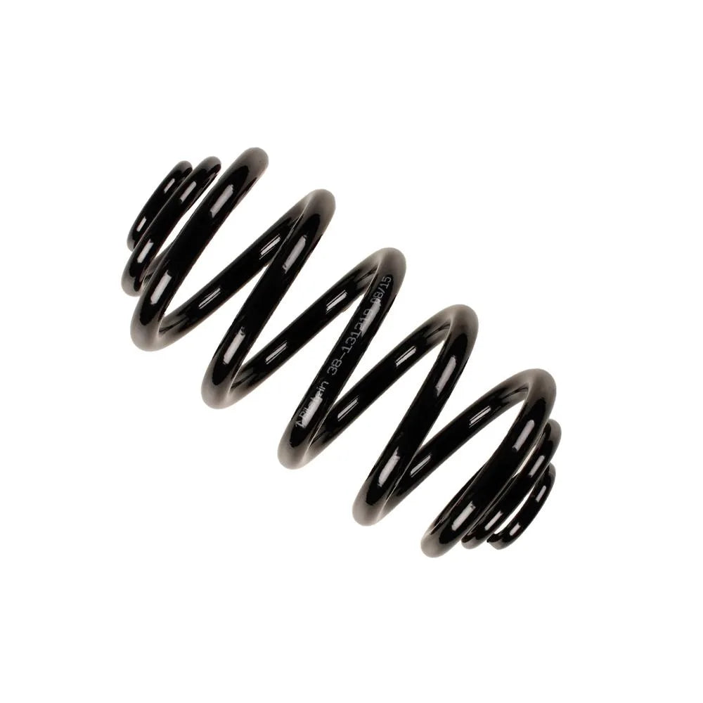 Punte Spate Bilstein - 38-131219