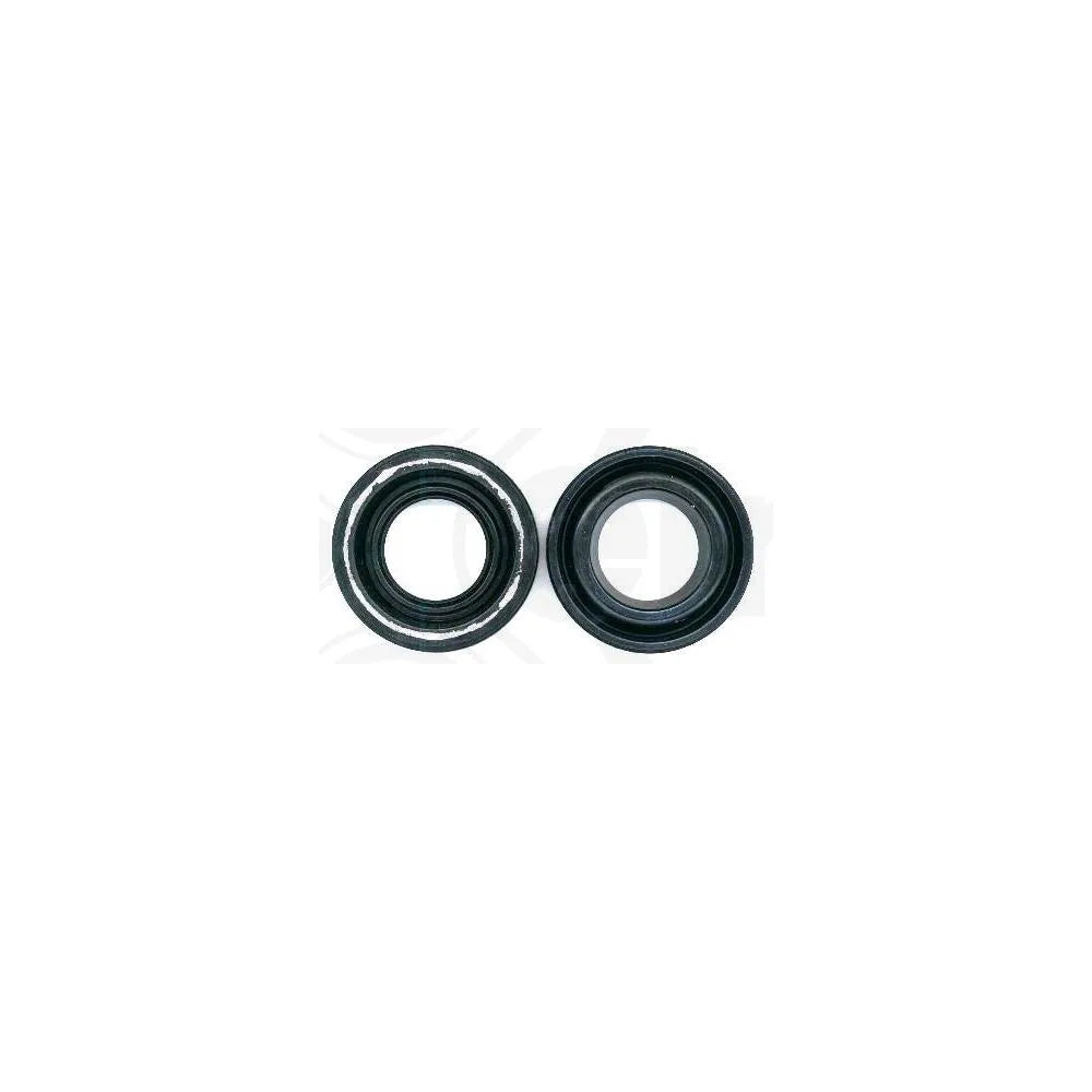 Set Garnituri Elring - 389.300