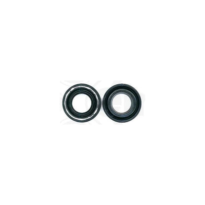 Set Garnituri Elring - 389.300