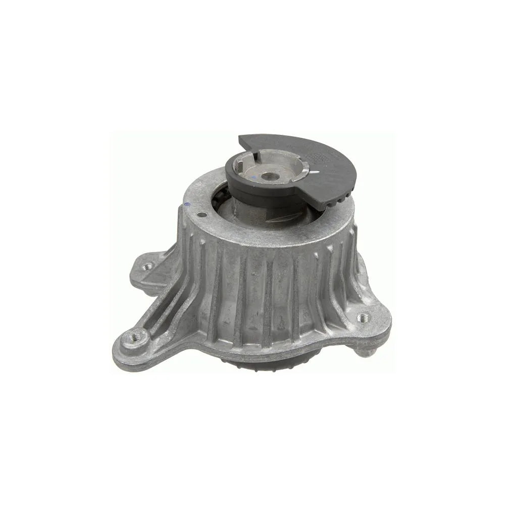 Set Motor Lemforder - 39533 01