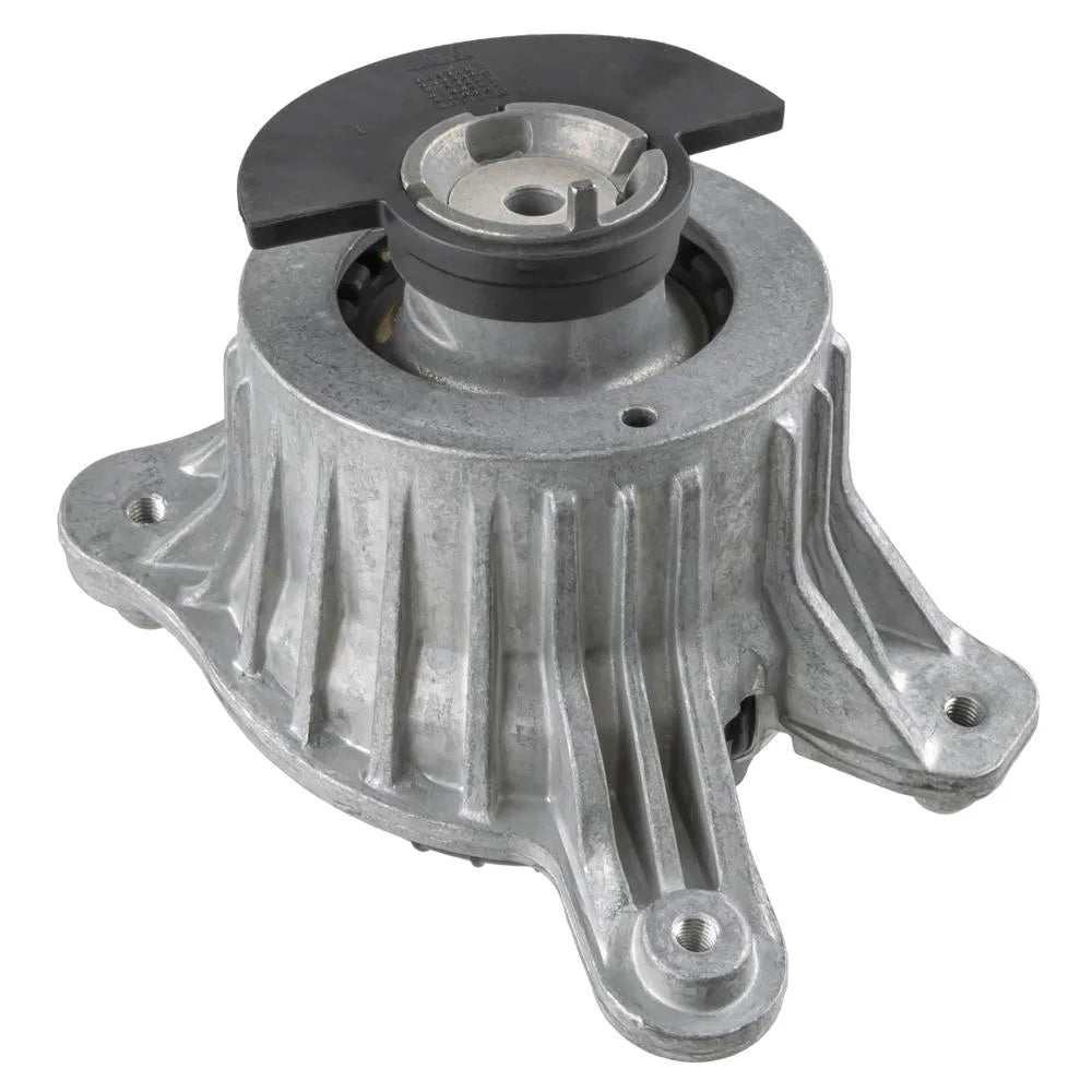Set Motor Lemforder - 39534 01