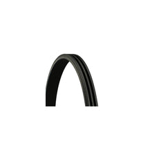 Curea Transmisie Cu Caneluri Continental Ctam - 3PK800