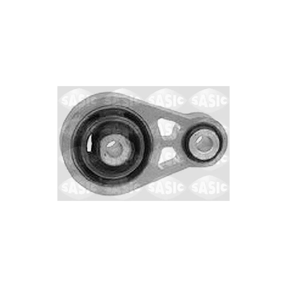 Set Motor Sasic - 4001804