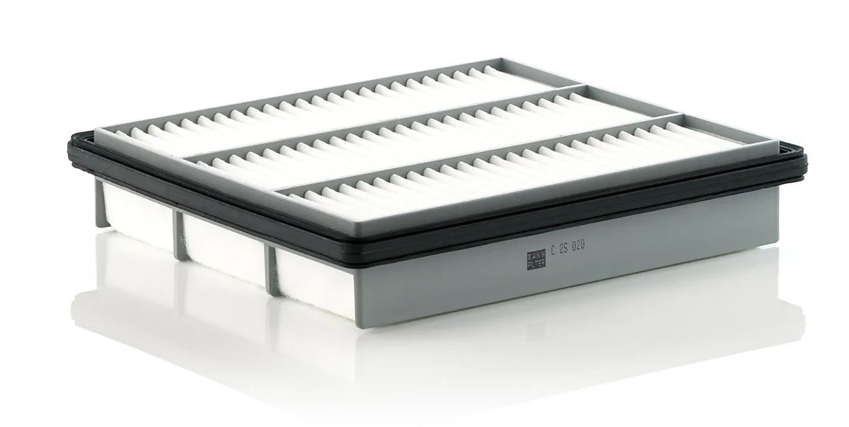 Filtru Aer Mann-Filter pentru Mitsubishi Pajero - C 25 020