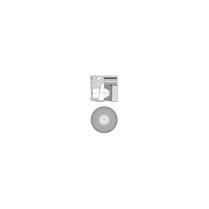 Pistoane Kolbenschmidt - 41541600