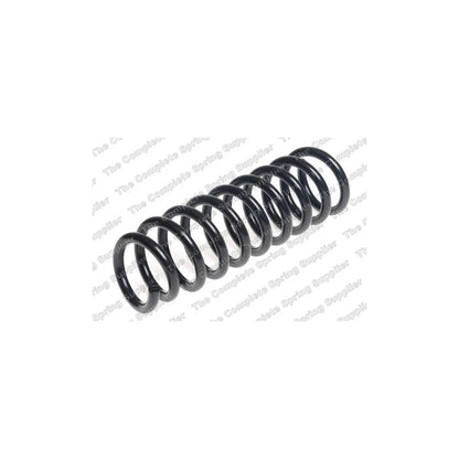 Punte Spate Lesjofors - 4244240