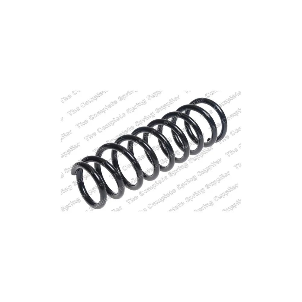 Punte Spate Lesjofors - 4259255