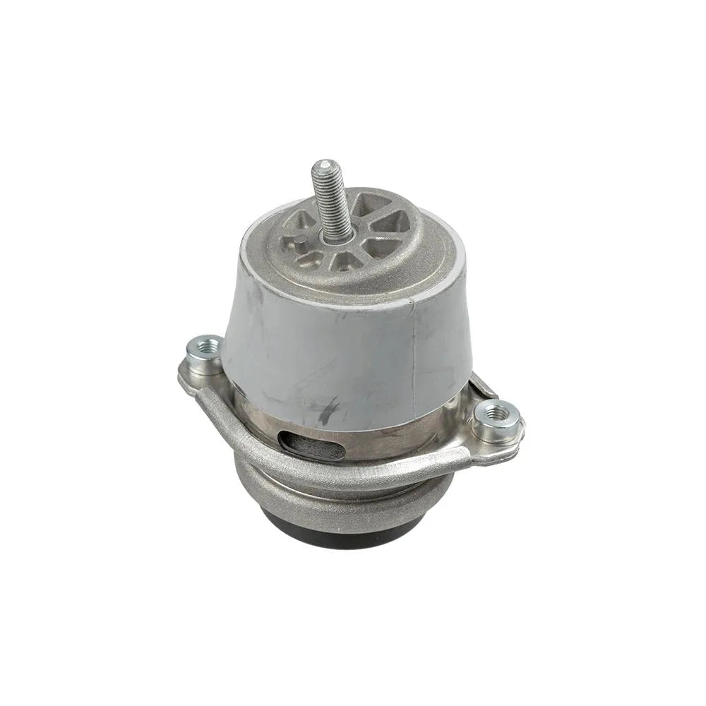 Set Motor Lemforder - 42806 01