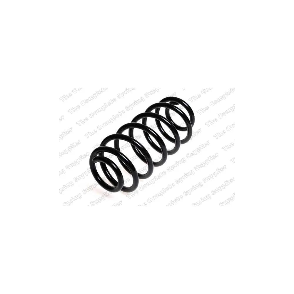 Punte Spate Lesjofors - 4292561