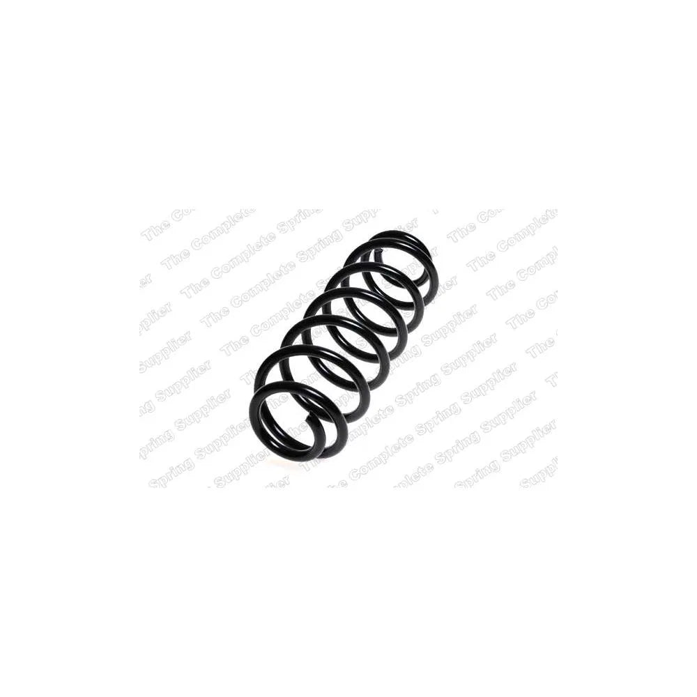Punte Spate Lesjofors - 4295076