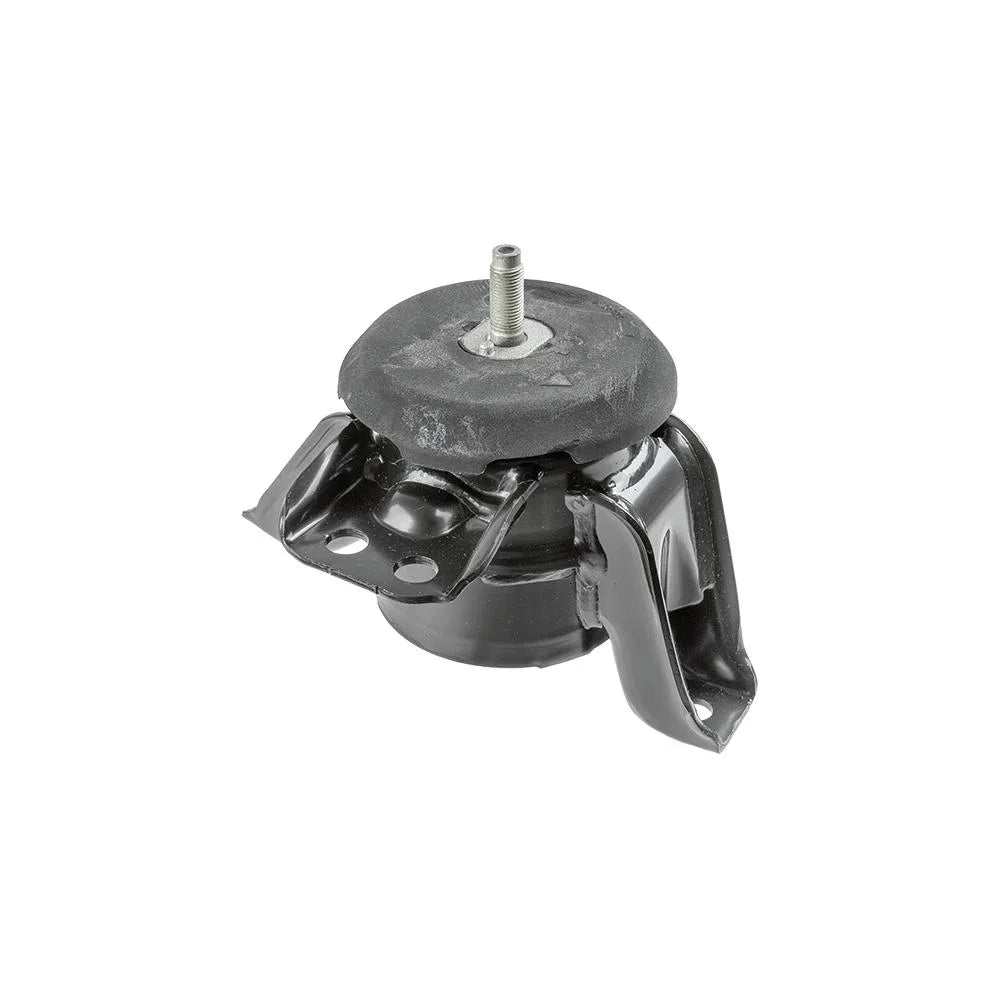 Set Motor Lemforder - 43056 01