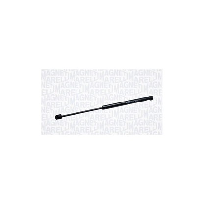 Haion Magneti Marelli pentru Citroen C5 - 430719068300