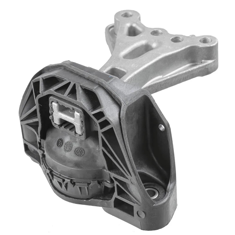 Set Motor Lemforder - 44062 01