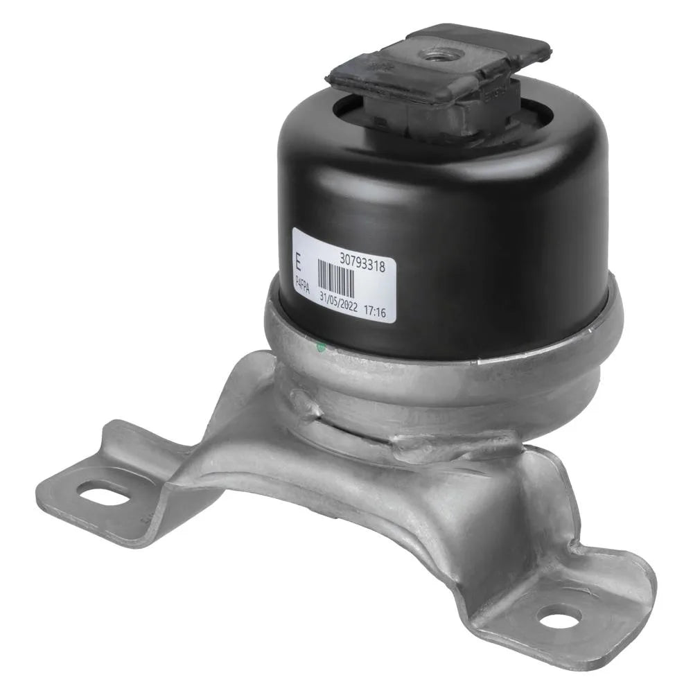 Set Motor Lemforder - 44741 01