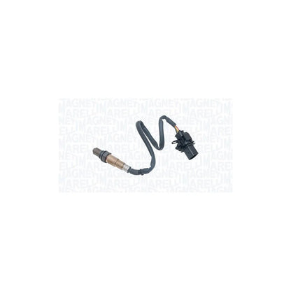 Sonda Lambda Magneti Marelli - 466016355238