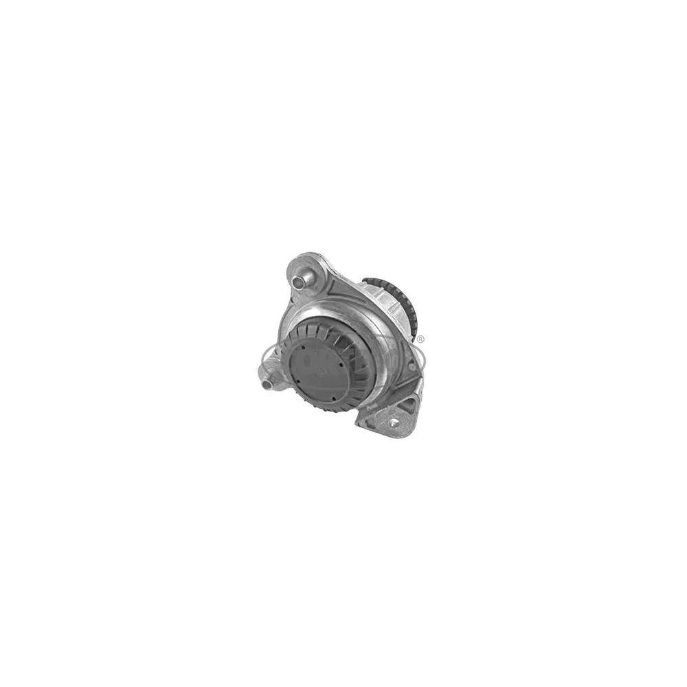 Set Motor Corteco - 49374309