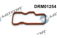 Garnitura, galerie admisie Dr.Motor Automotive pentru Audi - DRM01254