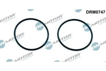 Garnitura, pompa vacuum Dr.Motor Automotive - DRM0747
